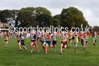 Girls under-11s Northern Cross Country Relays, Graves Park, Sheffield. Photo: David T. Hewitson/Sports for All Pics